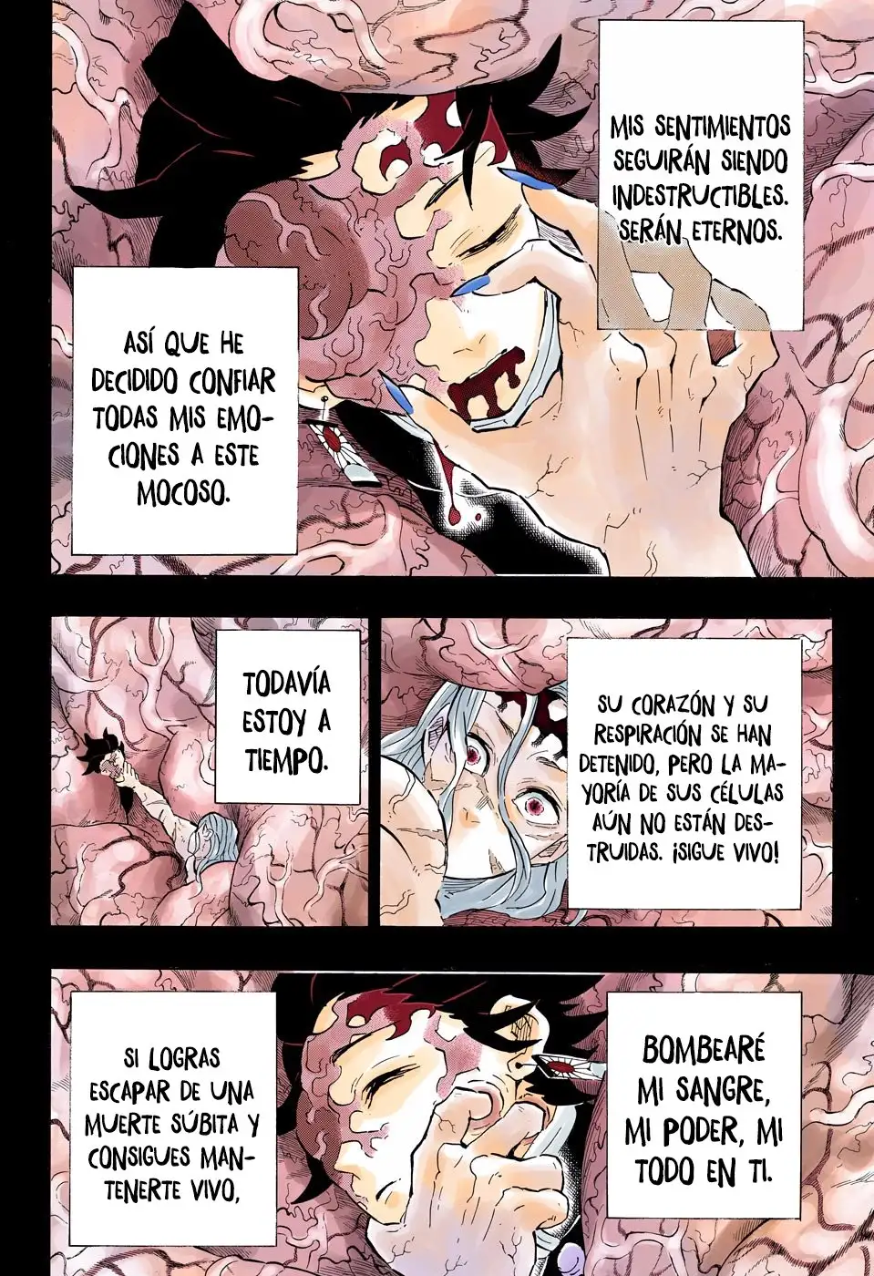 Read Demon Slayer ES Manga Online