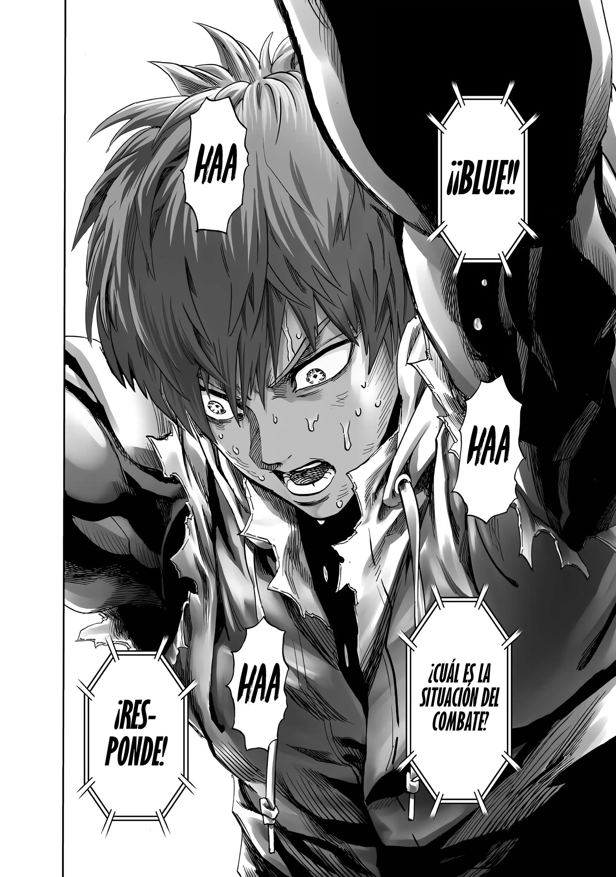 Read One Punch Man ES Manga Online