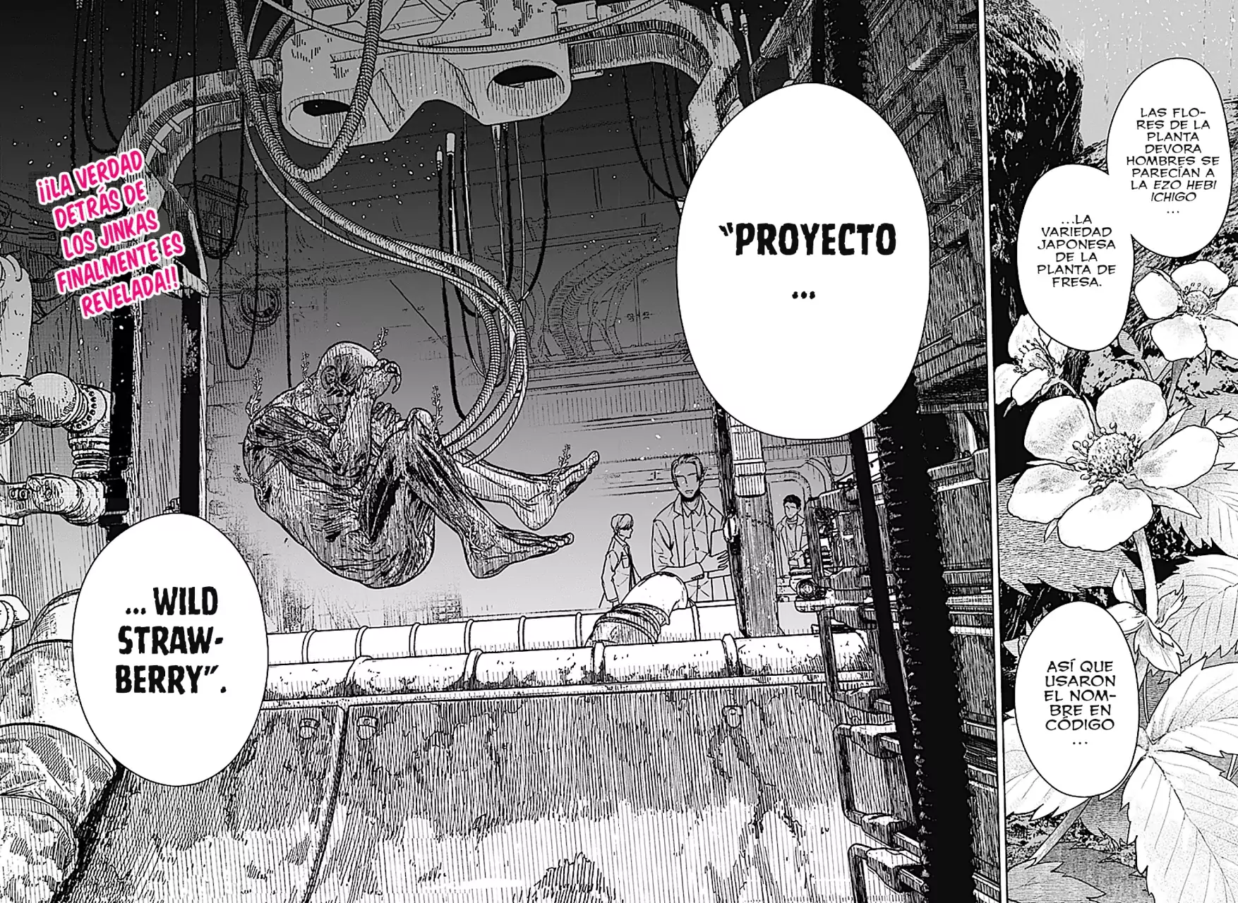 Read Wild Strawberry ES Manga Online