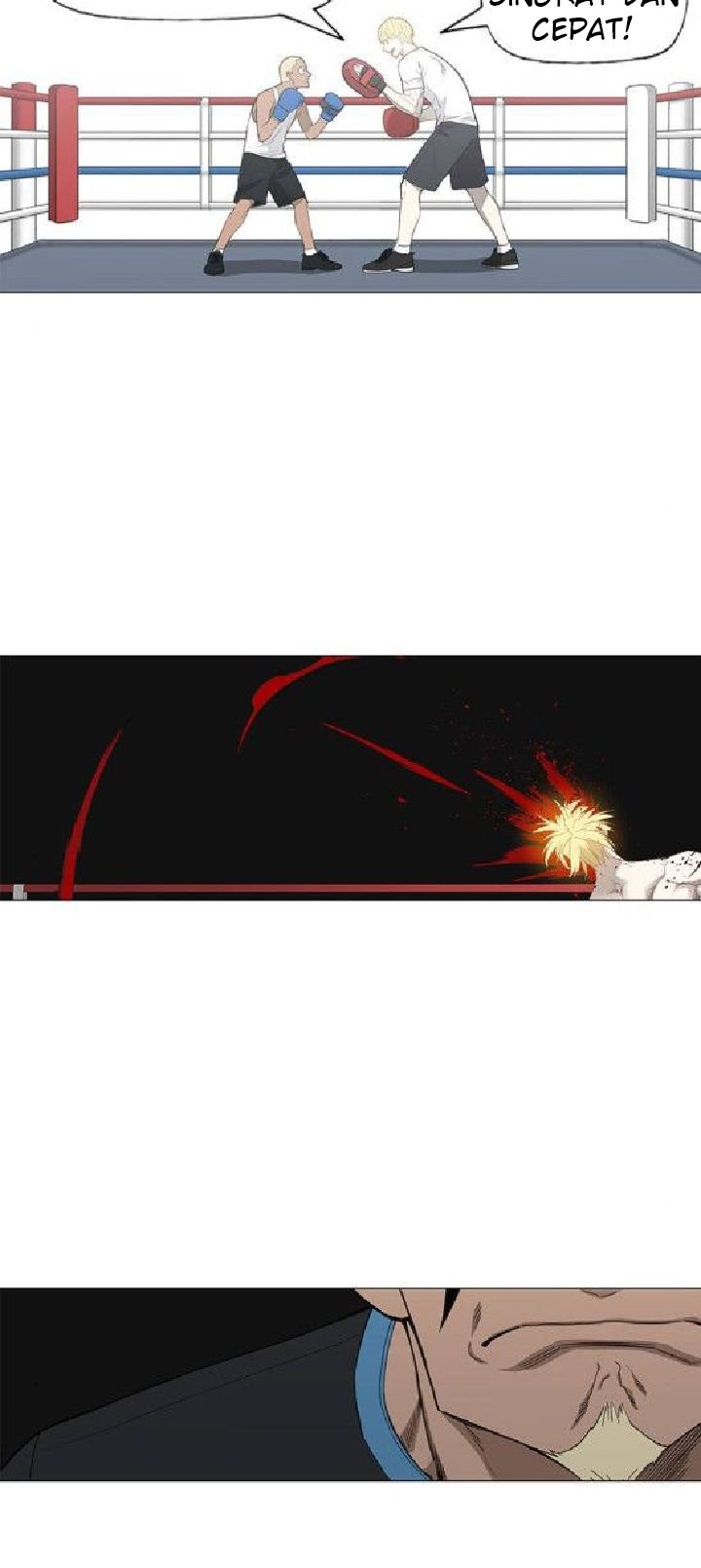 Read The Boxer ID Manga Online