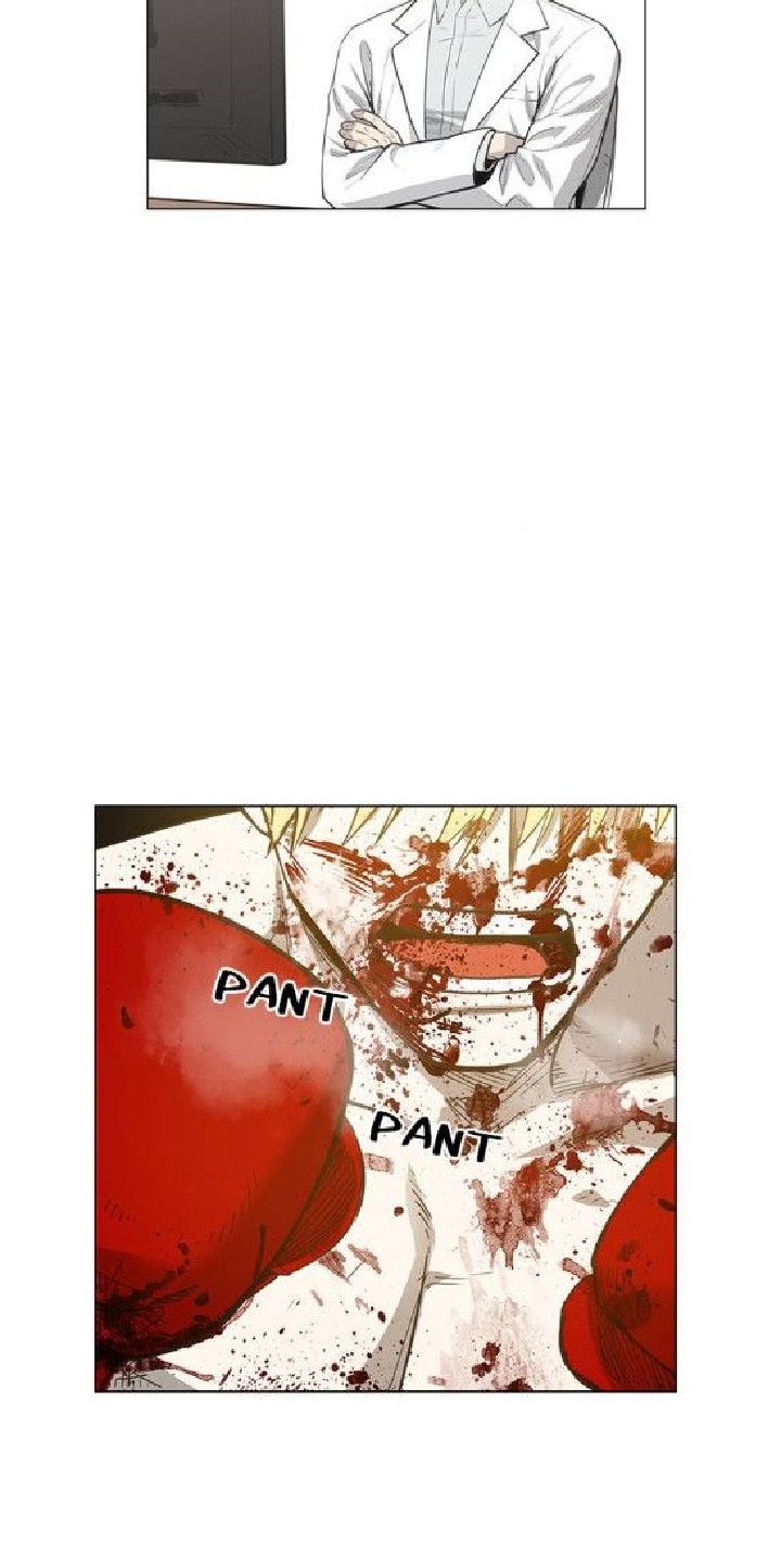 Read The Boxer ID Manga Online