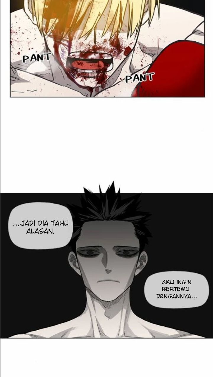 Read The Boxer ID Manga Online