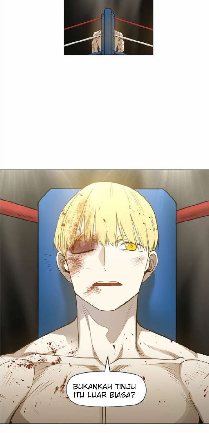 Read The Boxer ID Manga Online