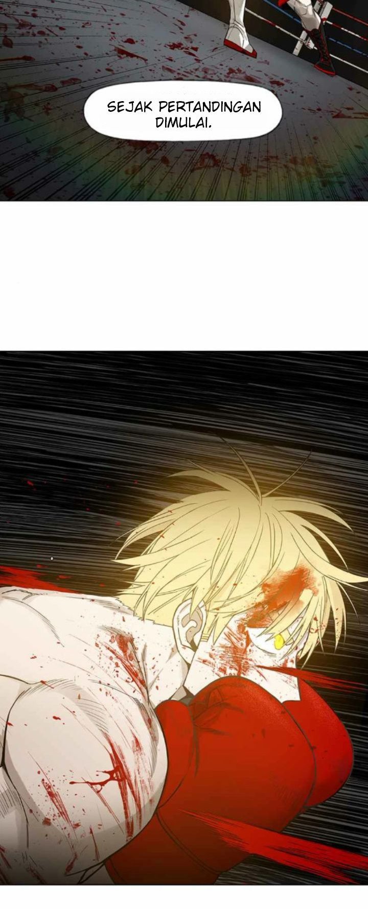 Read The Boxer ID Manga Online