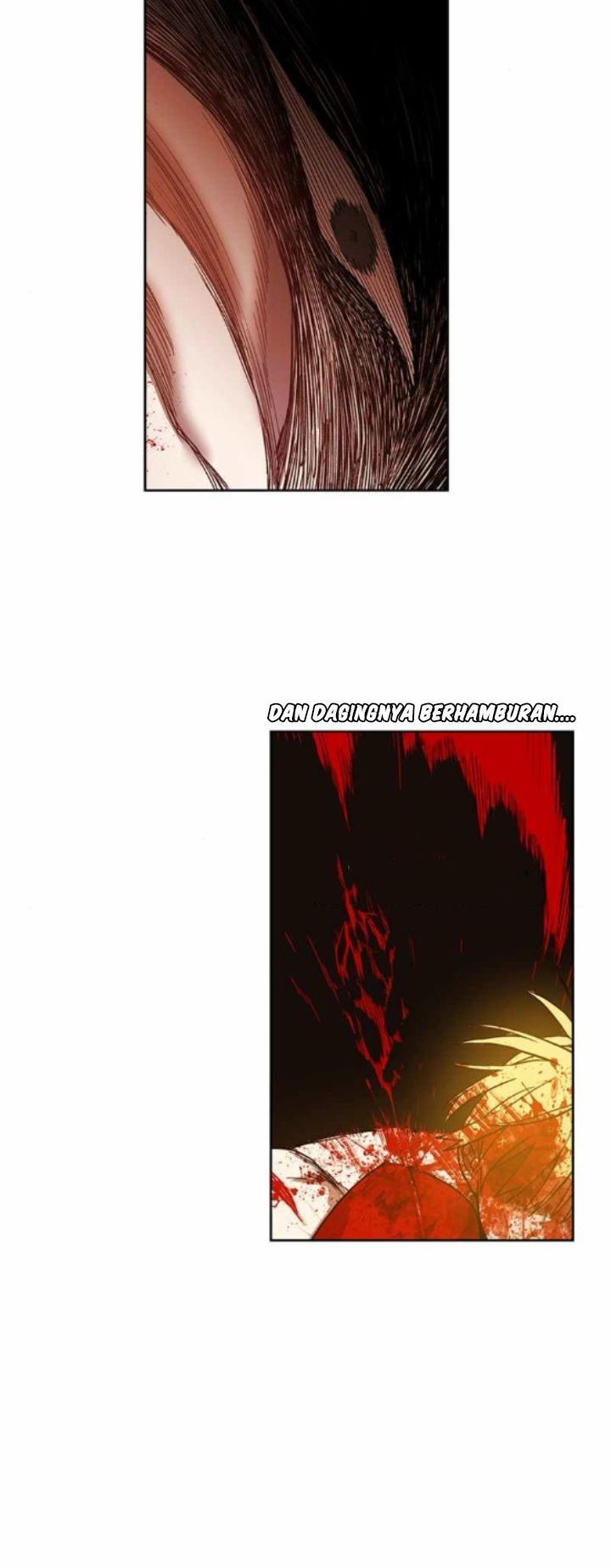 Read The Boxer ID Manga Online