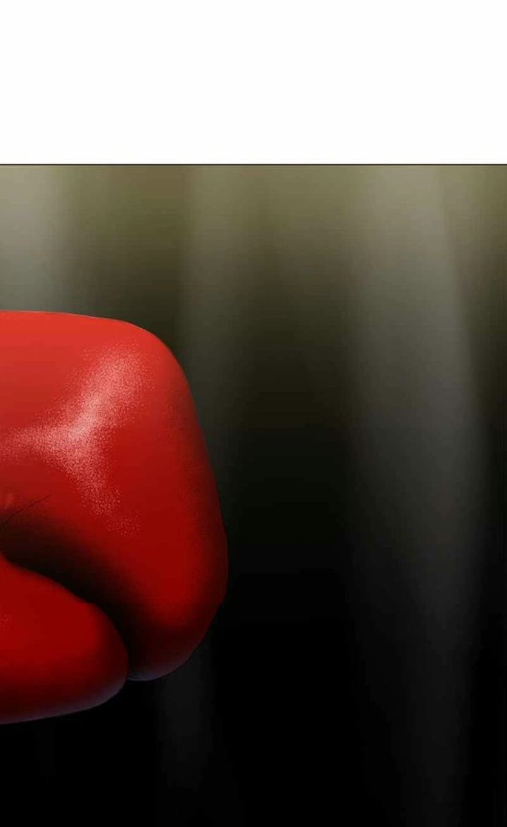 Read The Boxer ID Manga Online