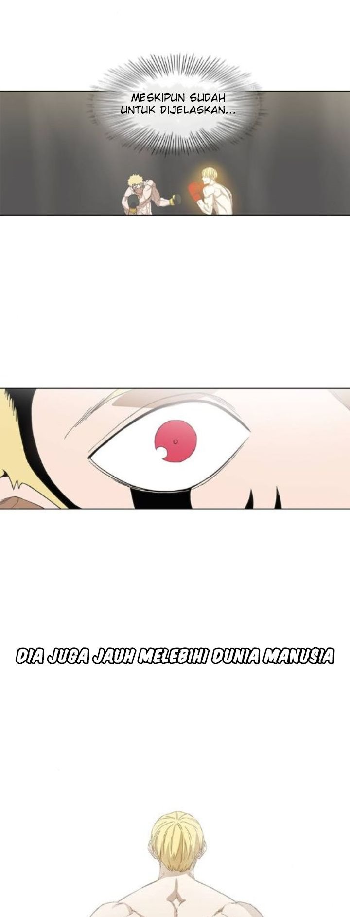 Read The Boxer ID Manga Online